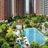 幸福里—白蟻防治